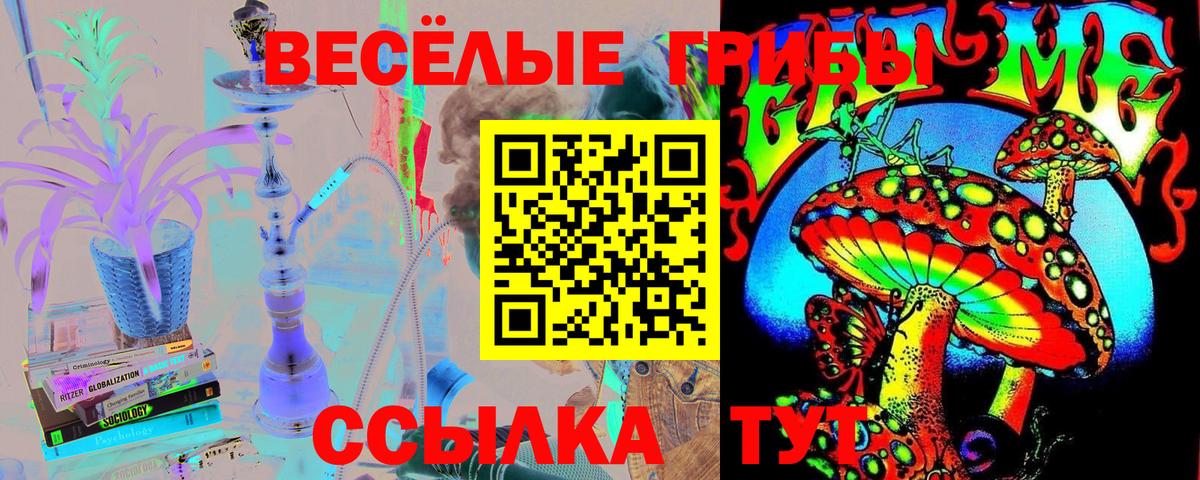Галлюциногенные грибы мухоморы  Галлюциногенные грибы Psilocybine cubensis  Вход с VPN  Петрозаводск 