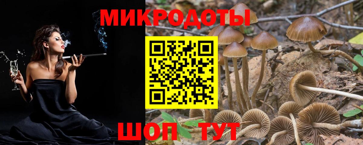 Галлюциногенные грибы ЛСД Петрозаводск